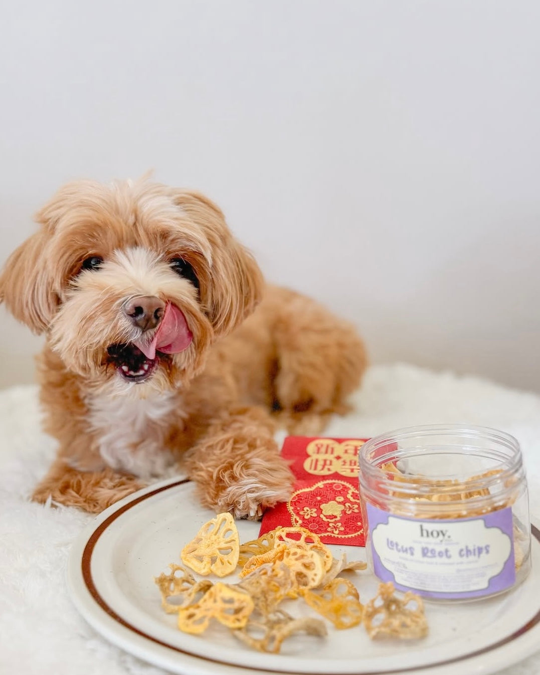 lotus root chips (lunar new year special)