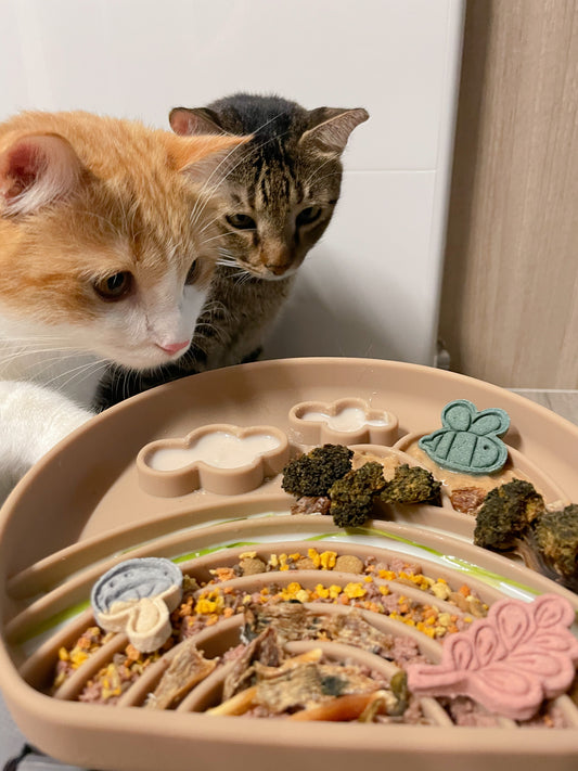 the choorens feeder (caramel)