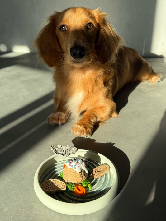 the toto feeder (cream)