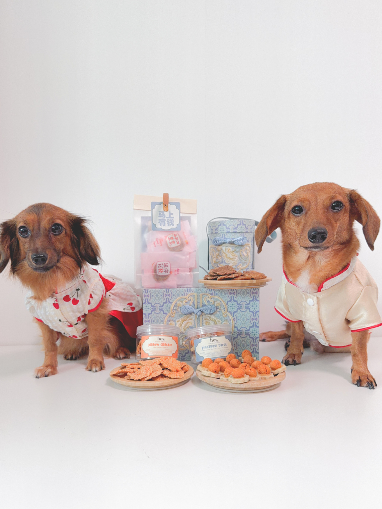 pawsperity set (lunar new year special)