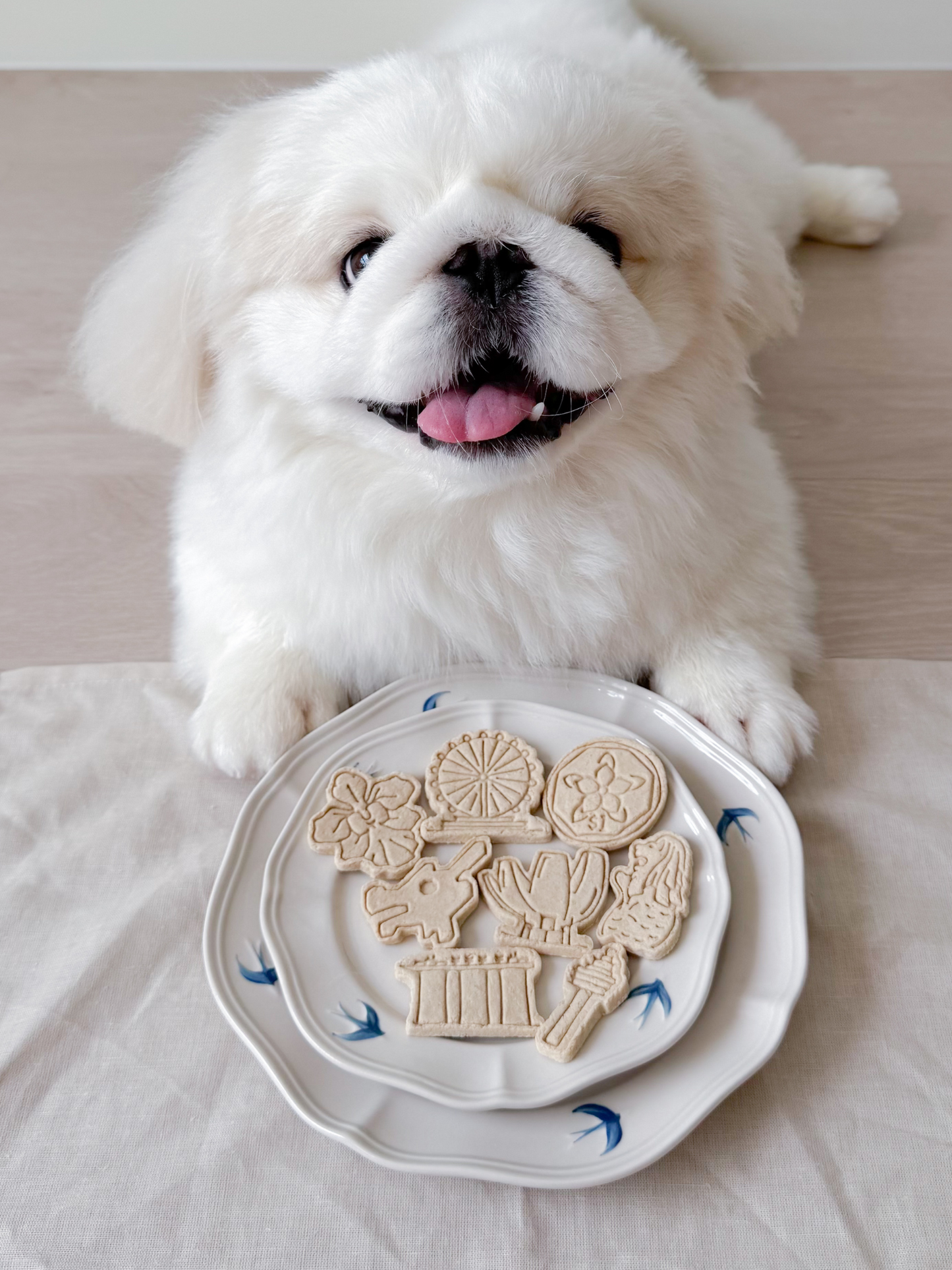icons of singapore (hoy-pitiam national day special) (8 pieces) | hoy's meat-based cookies