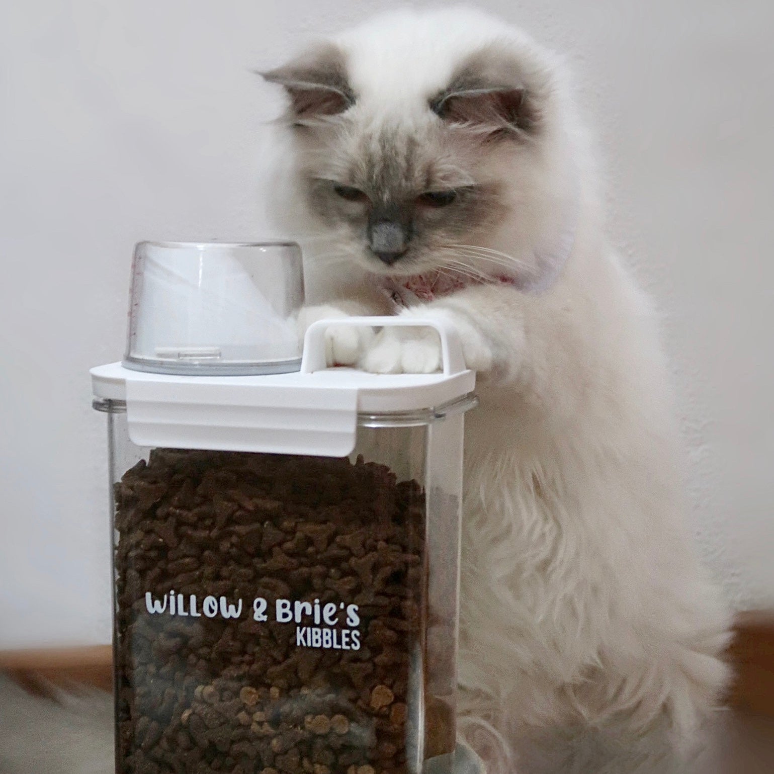 kibbles container Hoy