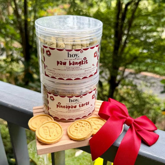 hoy's huat coins (meat-based cookies)