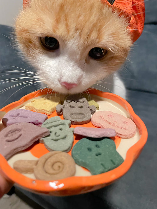 deja-boo | hoylloween special | hoy's meat-based cookies
