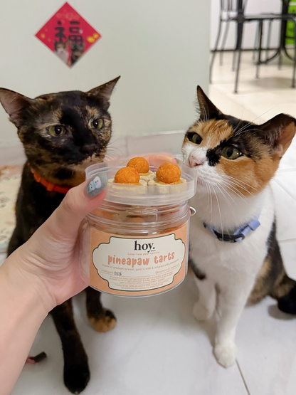 pineapaw tarts (lunar new year special)