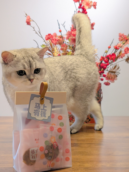 bundled bak kwa (lunar new year special)