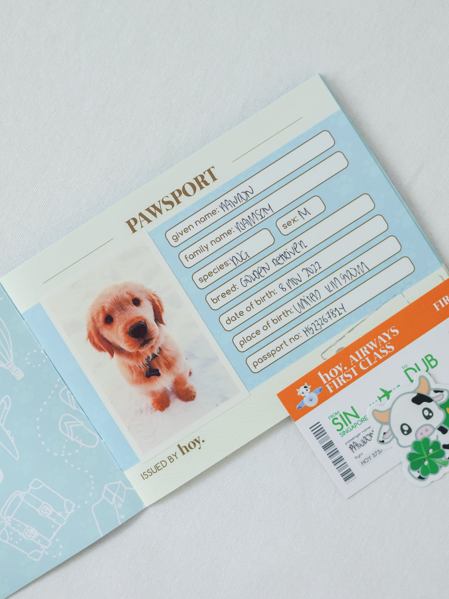 irish you a pot of gold (around the world special)