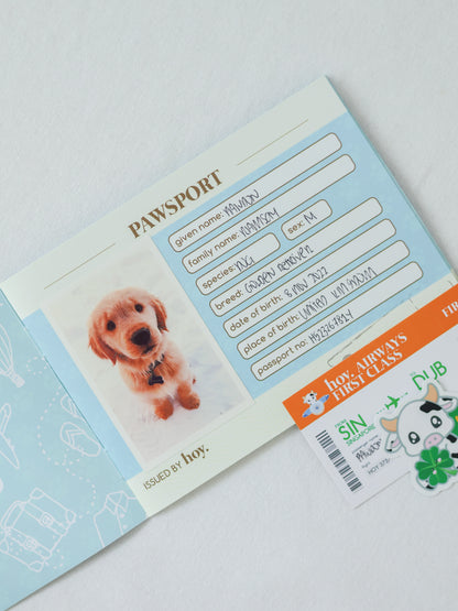 irish you a pot of gold (around the world special)