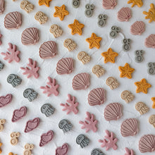 Load image into Gallery viewer, under the sea | hoy&#39;s meat-based cookies
