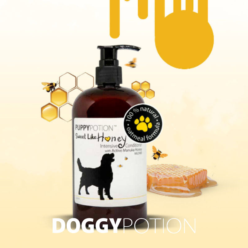 puppypotion honey shampoo