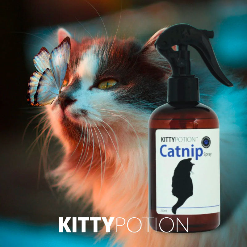 kittypotion catnip spray