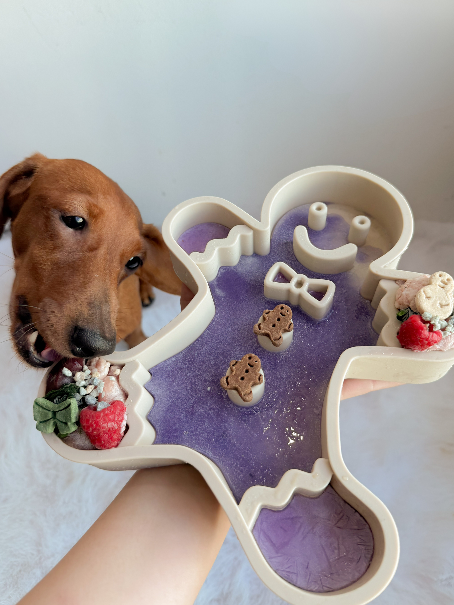 ginger all the way feeder (very vanilla) (christmas special)