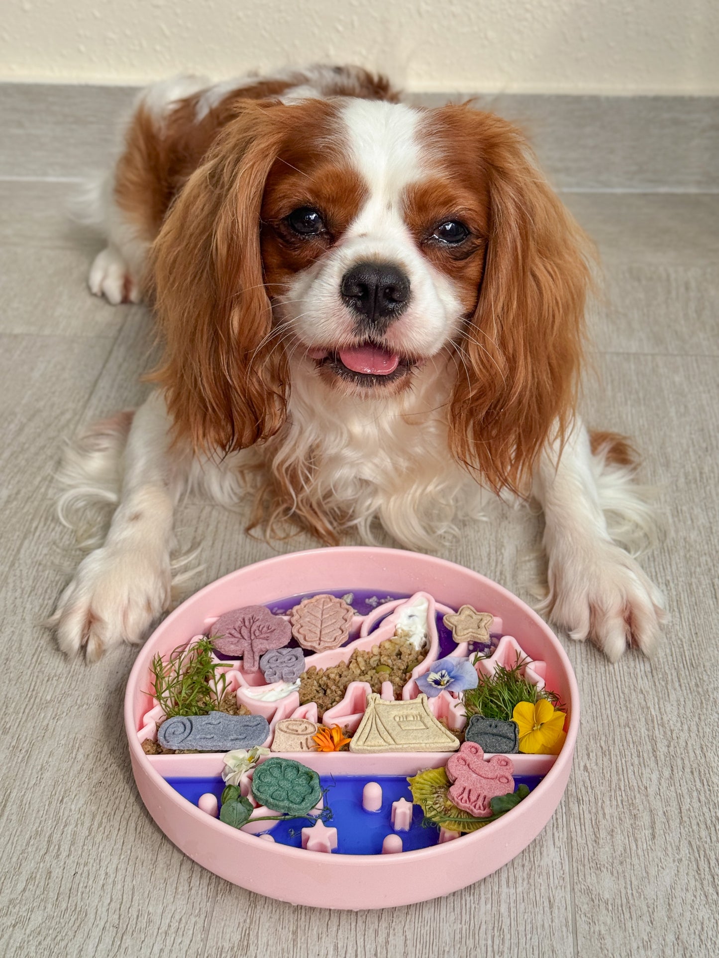 the bailey feeder (obsidian)