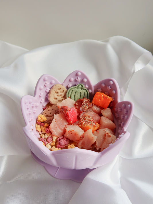 the bossam feeder (periwrinkle)