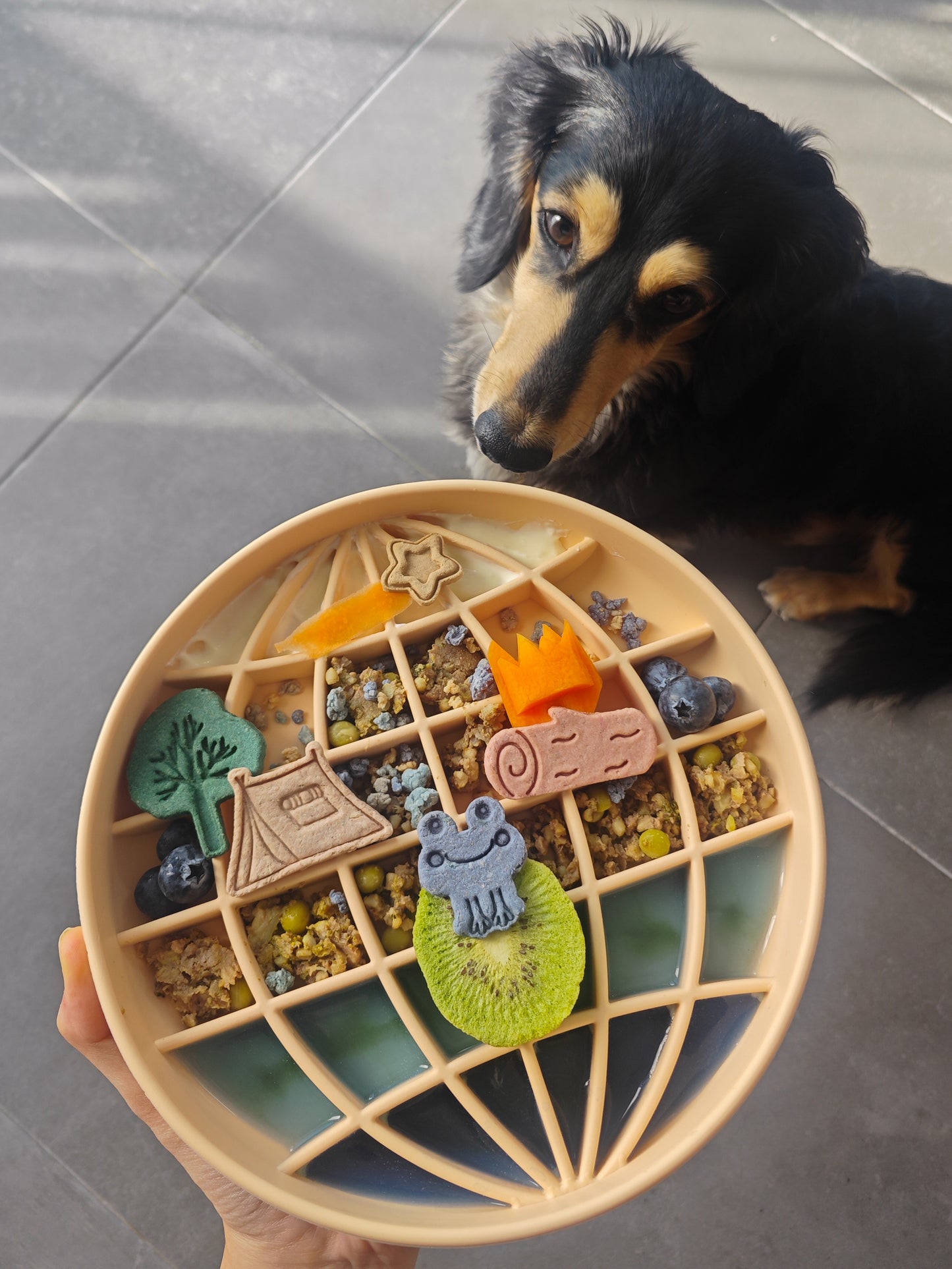 the luppy feeder (artichoke)