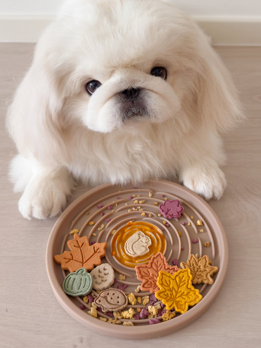 the teddy feeder (caramel)