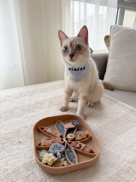 the winter feeder (caramel)