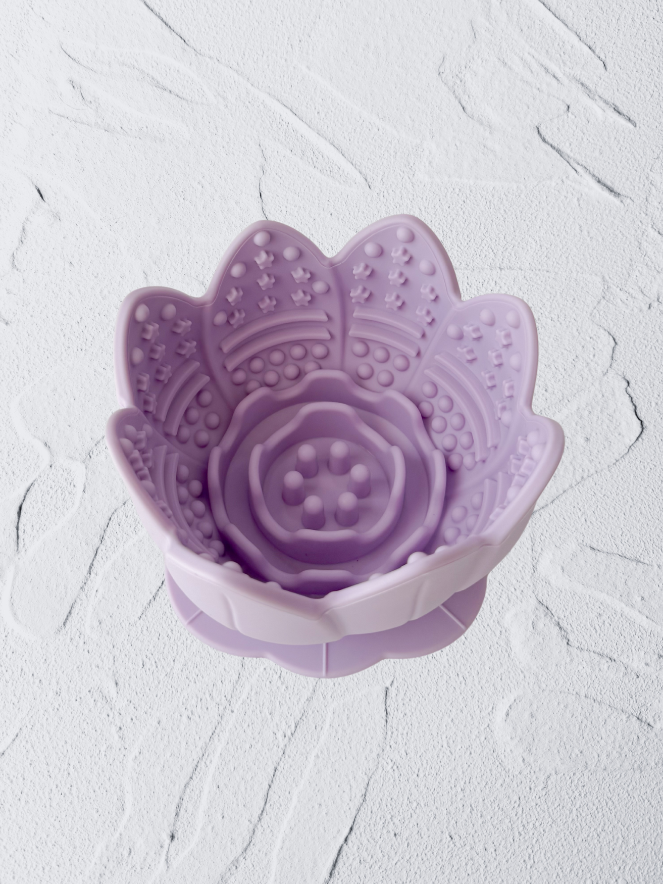 the bossam feeder (periwrinkle)