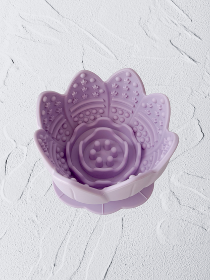 the bossam feeder (periwrinkle)