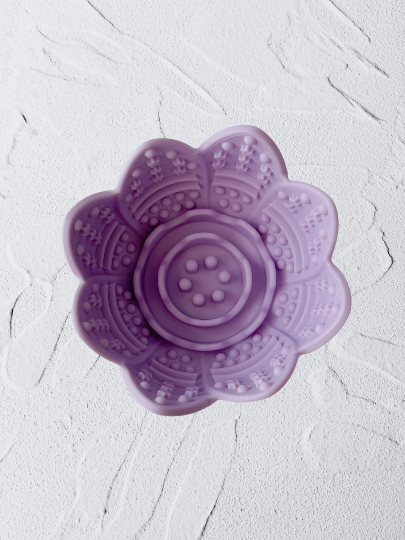 the bossam feeder (periwrinkle)