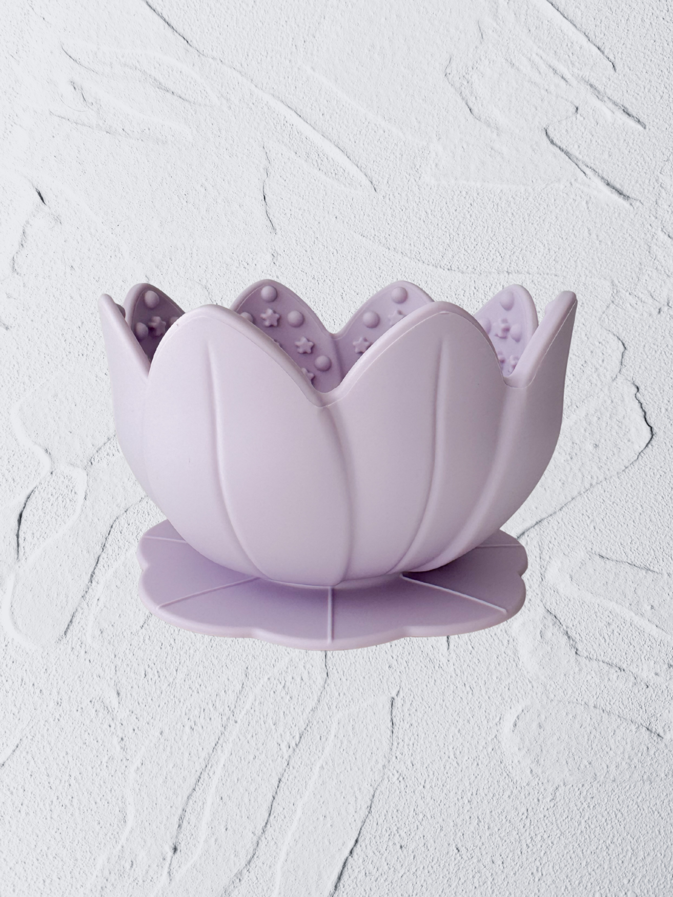 the bossam feeder (periwrinkle)