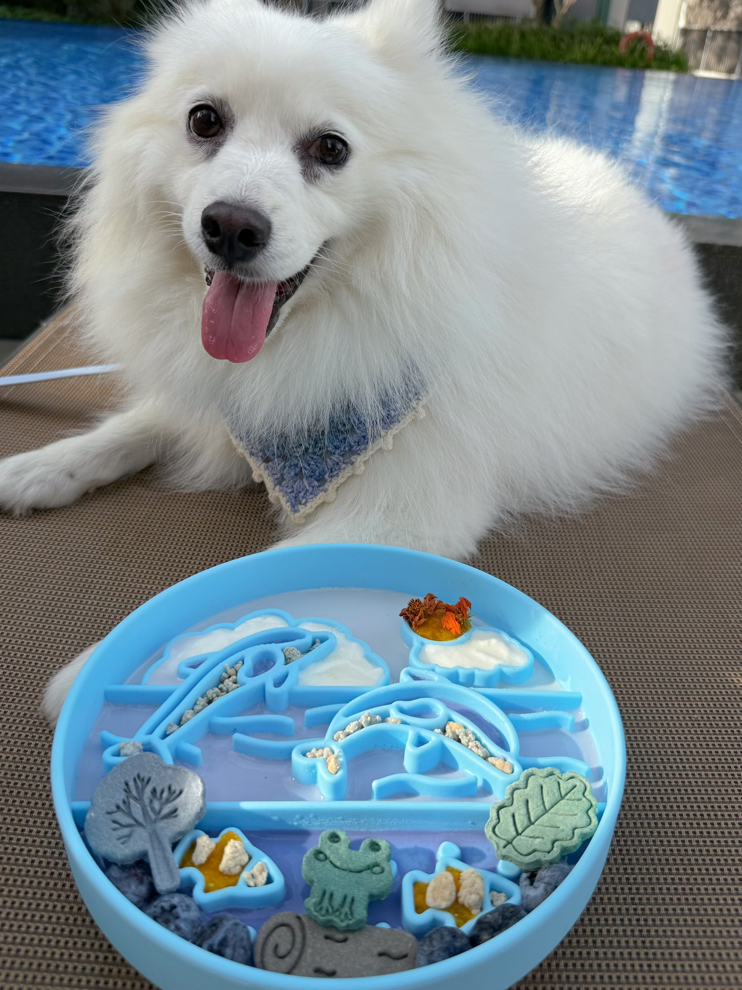 the brie feeder (bubblegum)