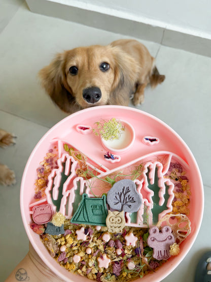 the chicca feeder (seafoam)