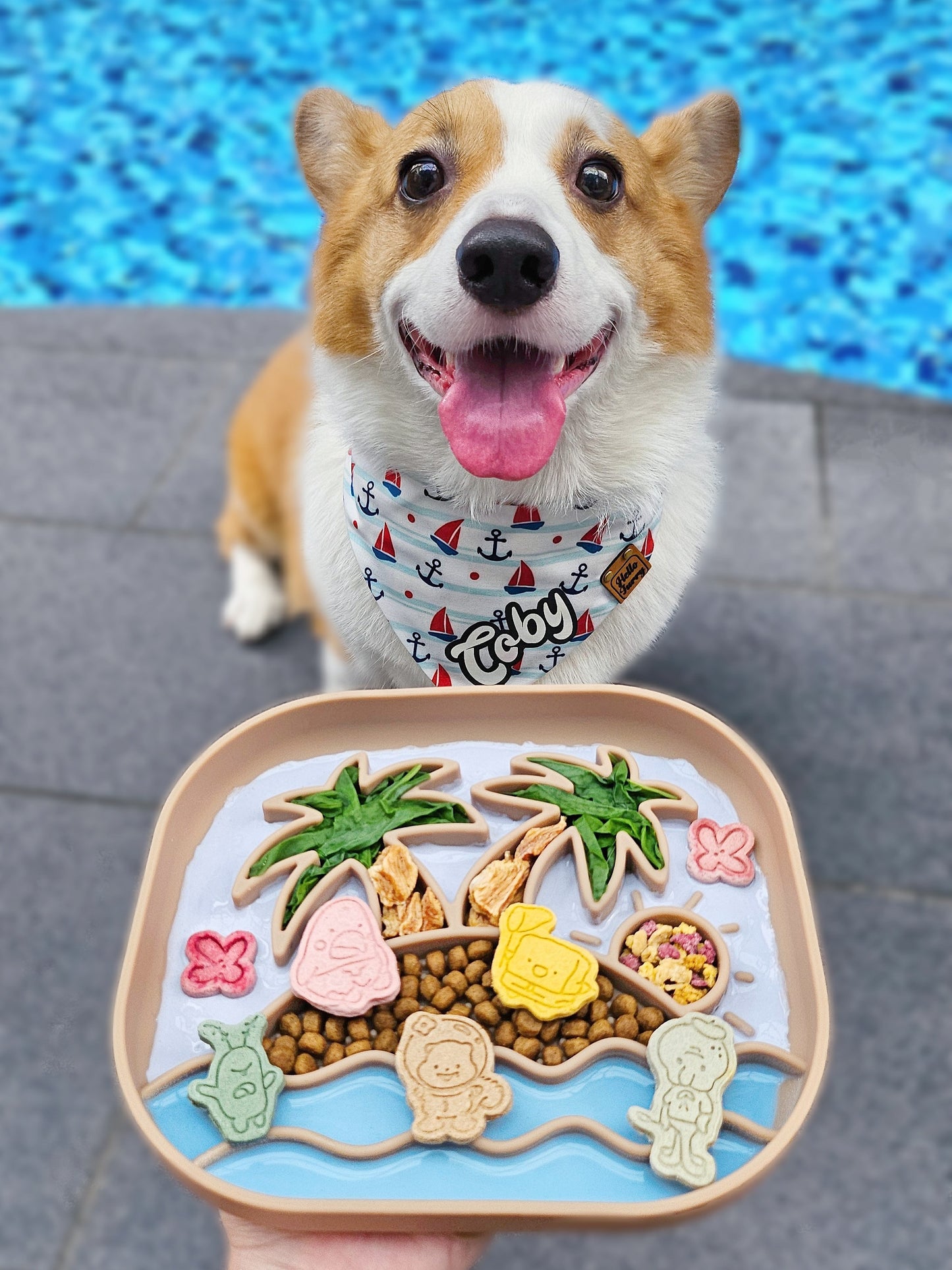 the coby feeder (lilac)