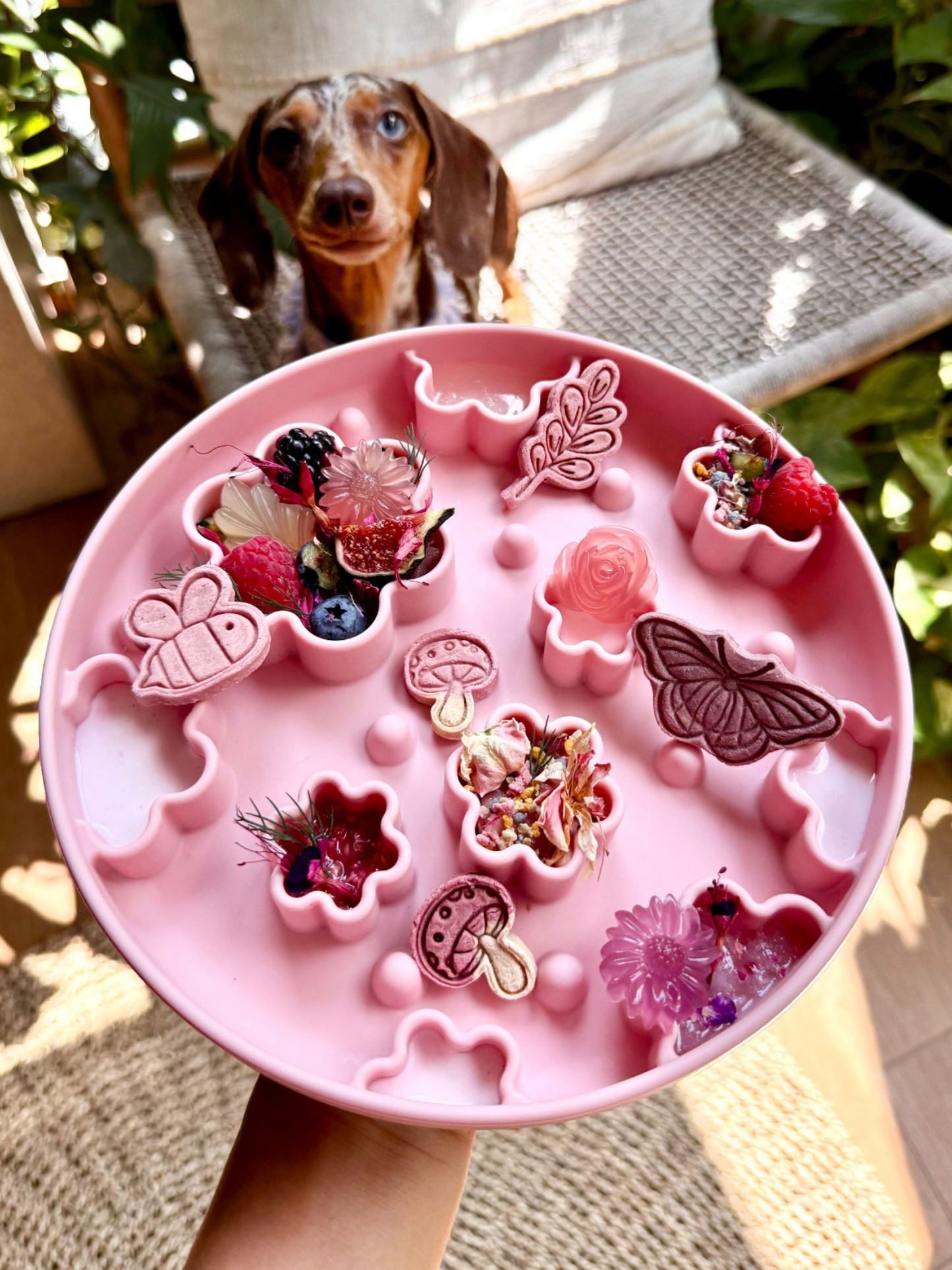 the harley slow feeder in pink