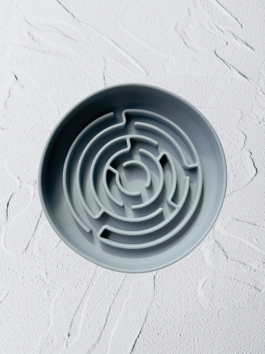 the meelo feeder (fossil)