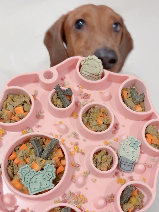 the poppy slow feeder in pink