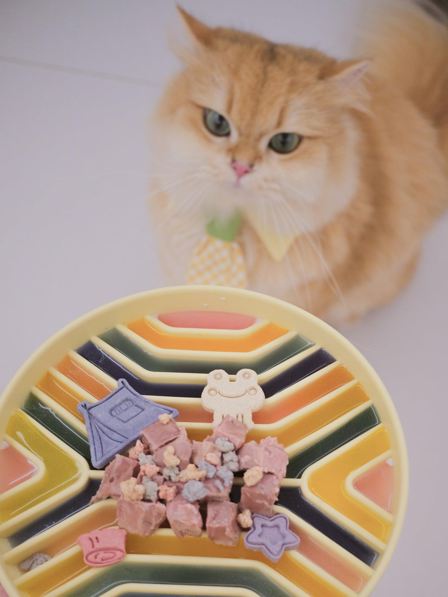 the udon feeder (olive)