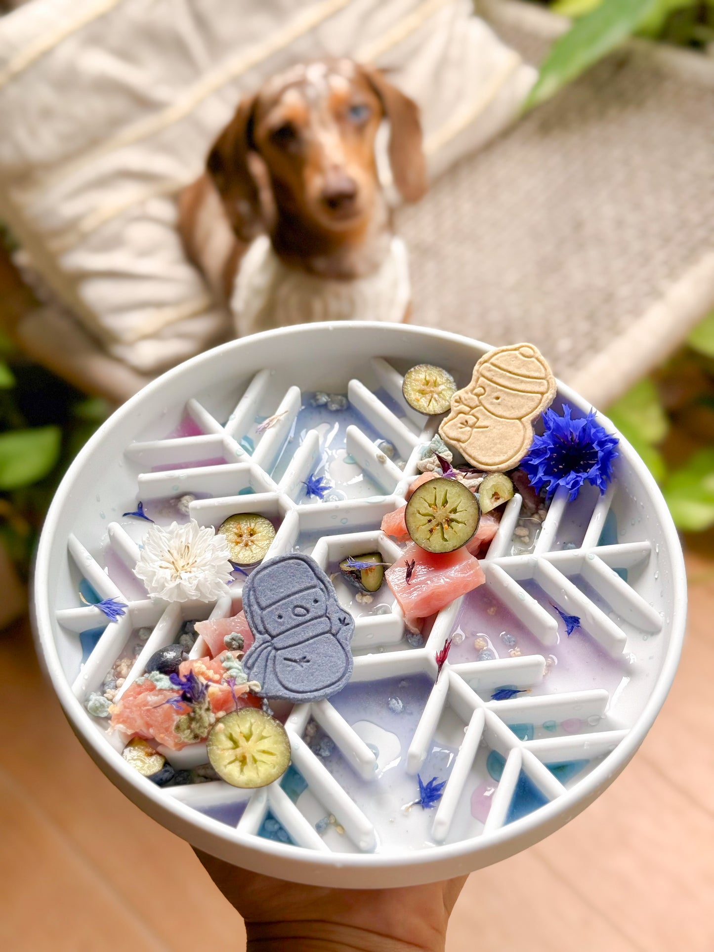 up to snow good feeder (snow) (christmas special)