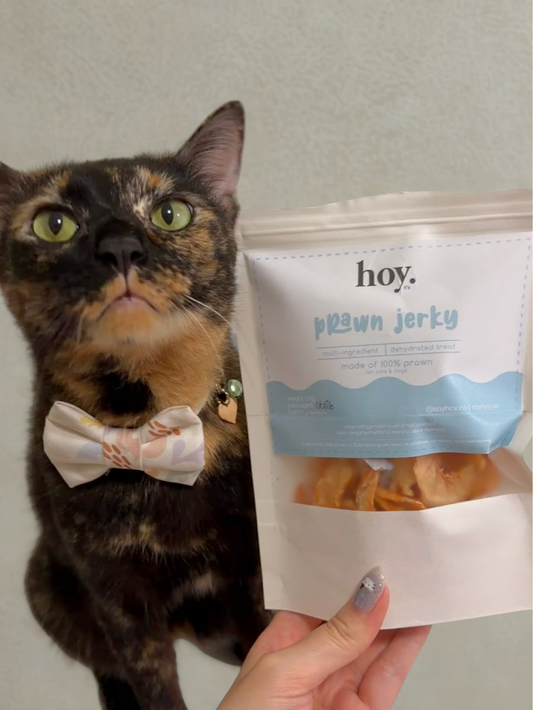 prawn jerky (50g)