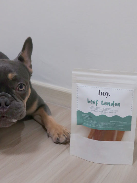beef tendon (50g)