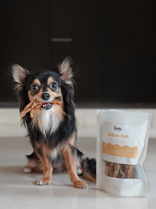 chicken feet (100g)