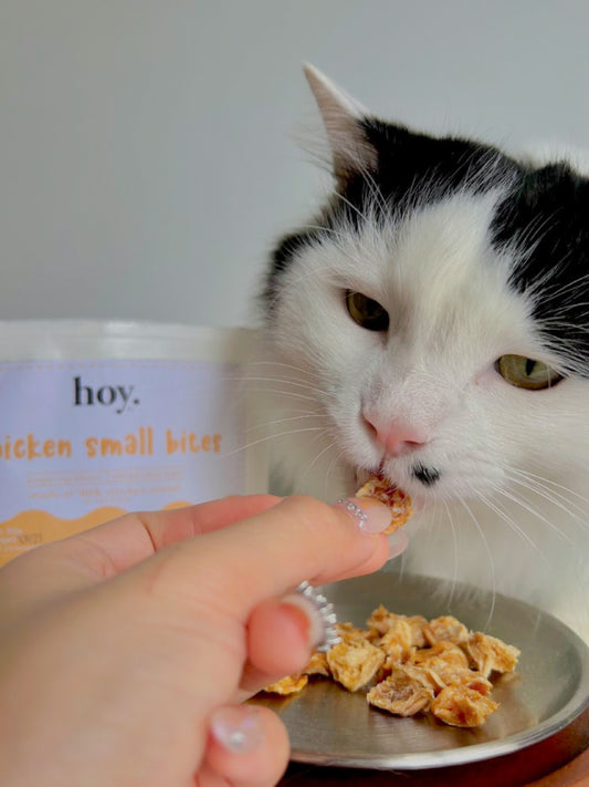 chicken small bites (100g)