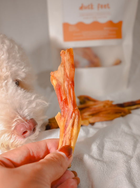 duck feet (100g)