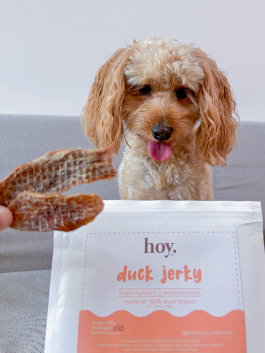 duck jerky (100g)