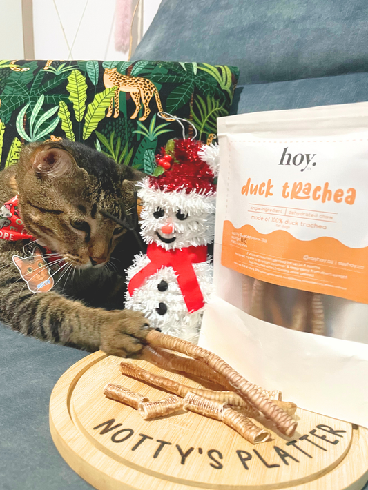 duck trachea (10 pieces)