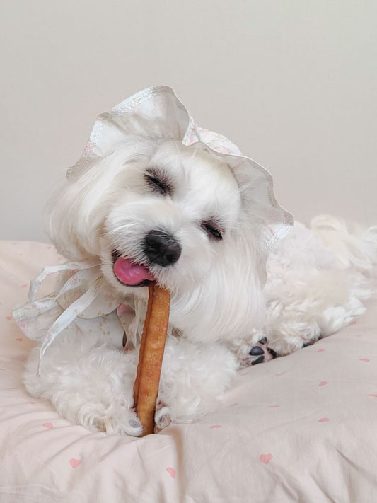 odorless bull bully stick