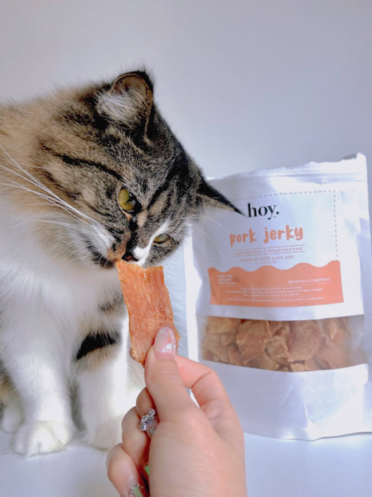 pork jerky (100g)