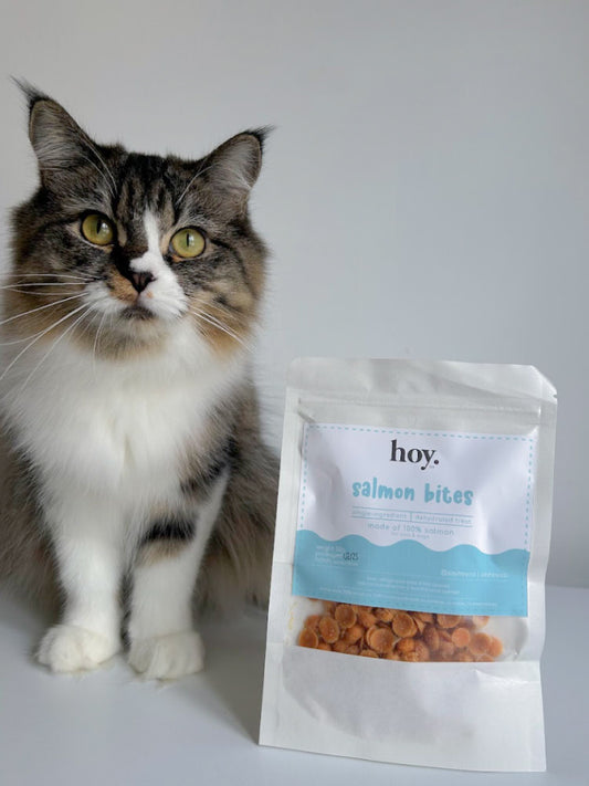 salmon bites (50g)