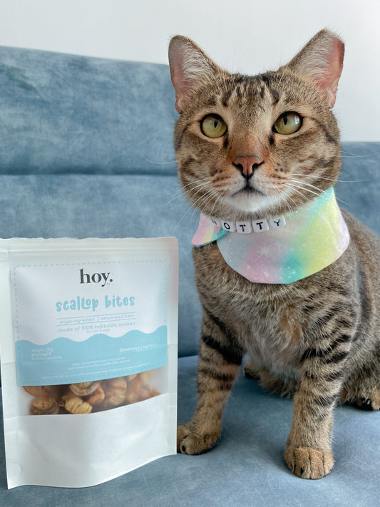 scallop bites (50g)