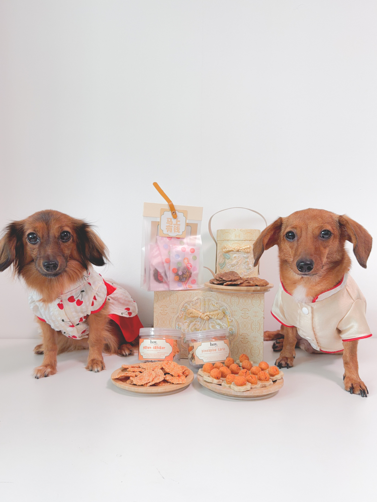 pawsperity set (lunar new year special)