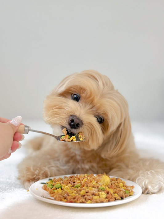 yang zhou fried rice (hoy-pitiam national day special) (50g)