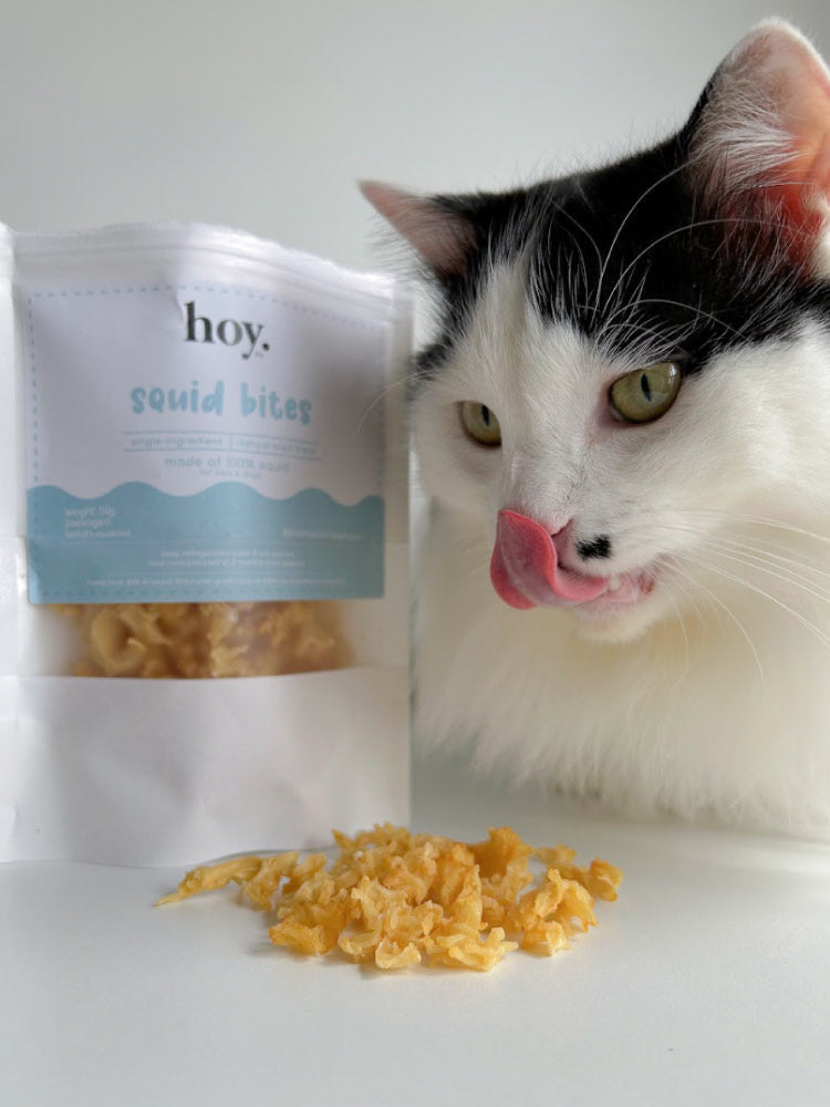 squid bites (50g)