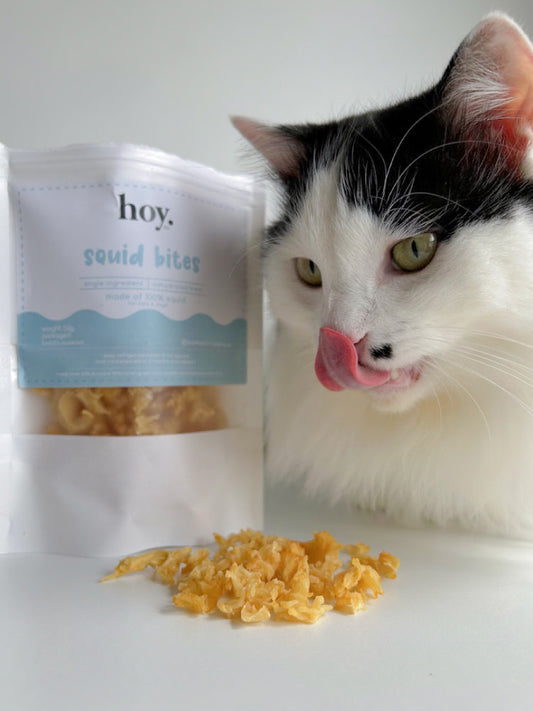 squid bites (50g)