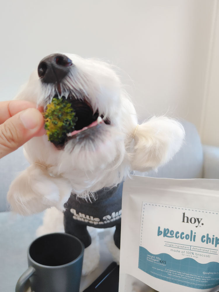 broccoli chips (50g)