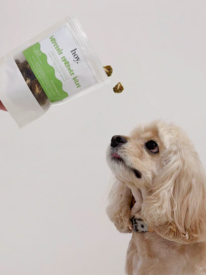 brussels sprouts bites (50g)